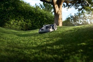 Robotic lawn mower operating on a grassy slope in a garden.